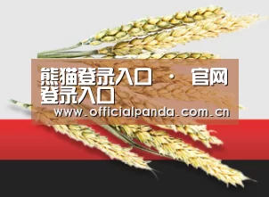熊猫登录入口 · 官网登录入口