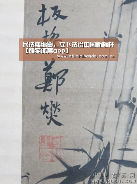 熊猫体育官网