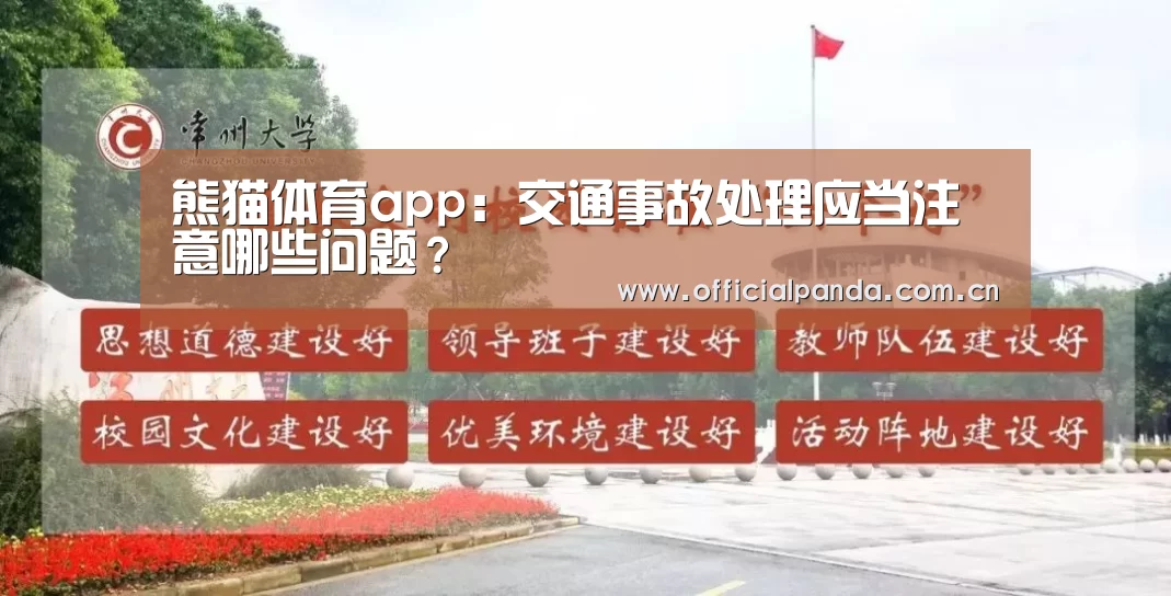熊猫体育app:交通事故处理应当注意哪些问题?(图2) 熊猫入口